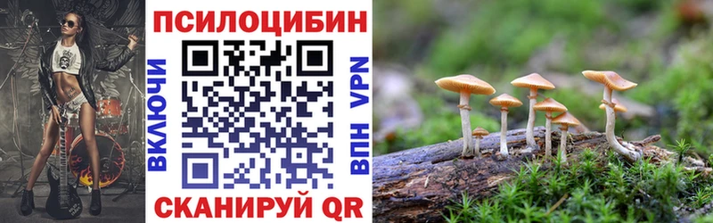Псилоцибиновые грибы мицелий  сколько стоит  Беломорск 
